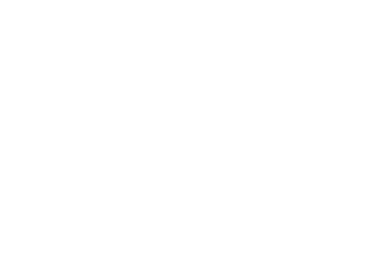 Global Platinum Properties