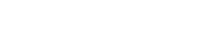 Global Platinum Properties